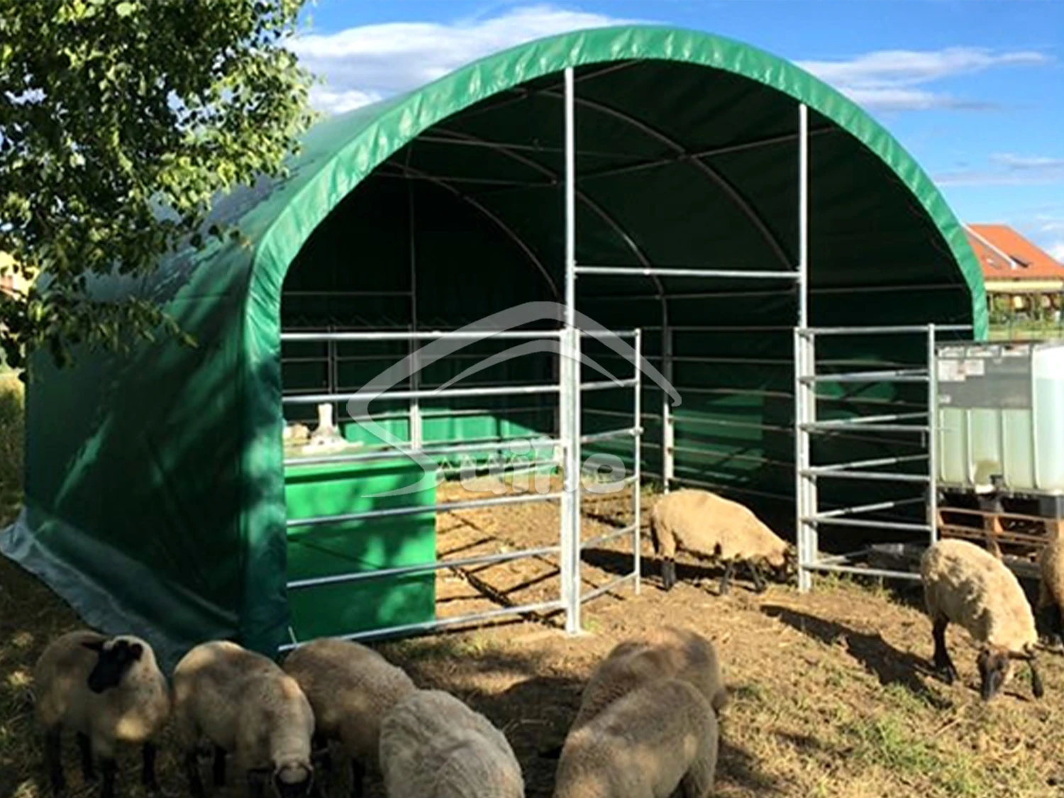 W20'(6m) Cattle TentLive Stock