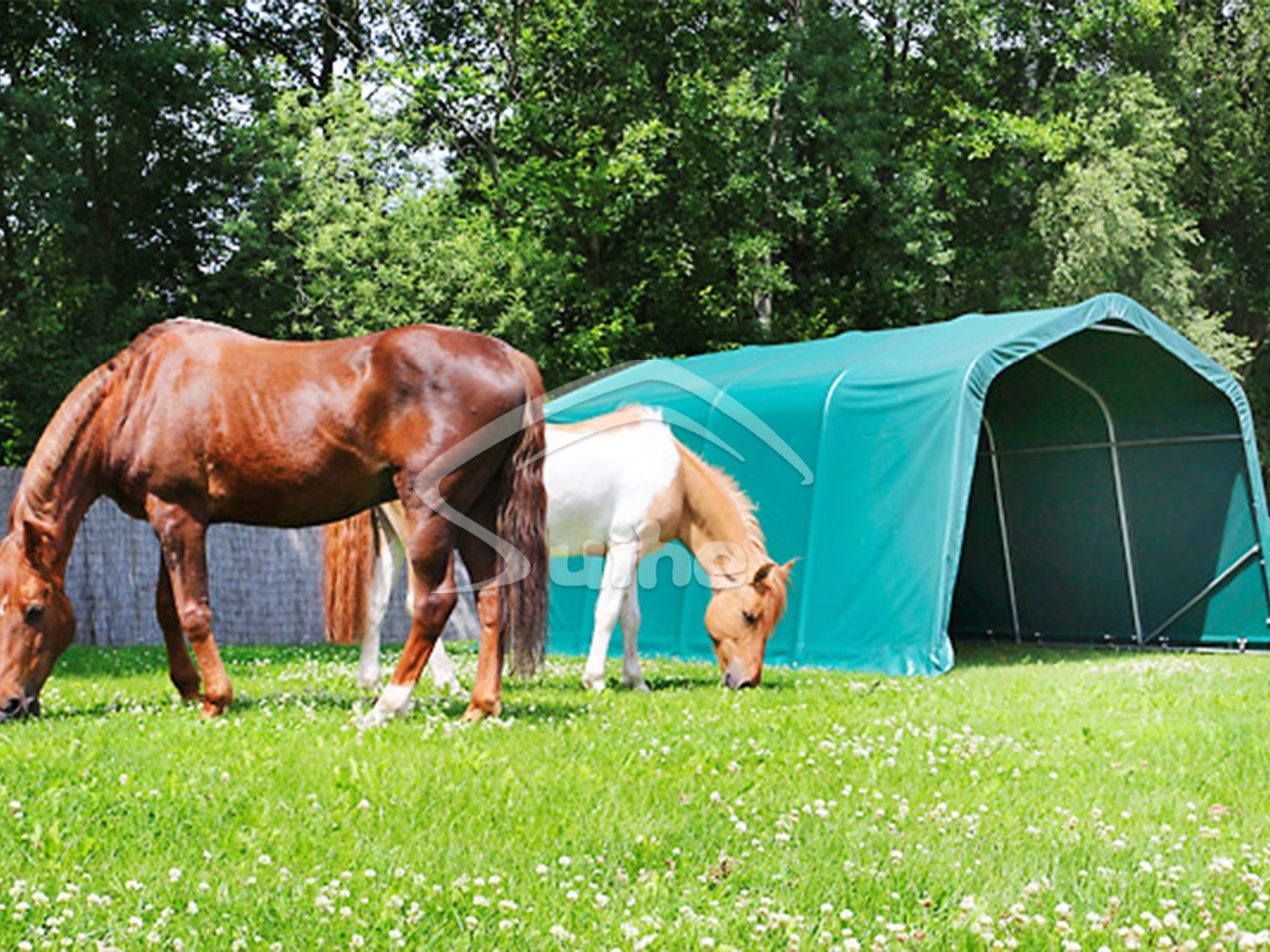 Weidezelt-Nutzung-600